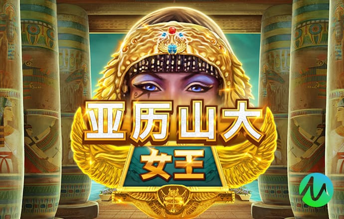 澳门一码中精准一码免费中特论坛